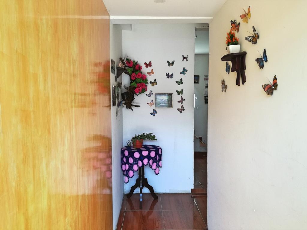 Posada Elenita Salento Kültér fotó