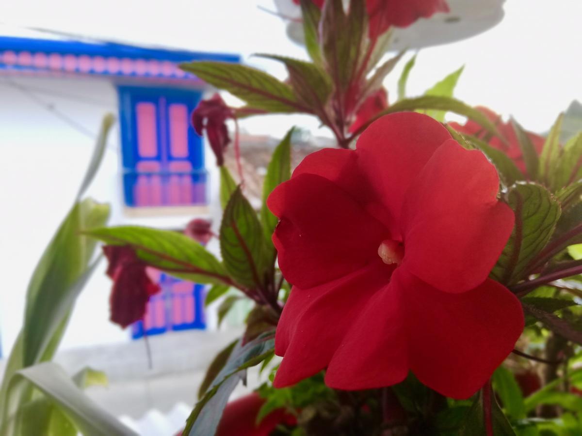 Posada Elenita Salento Kültér fotó